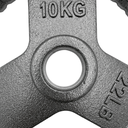 Par de Discos de Acero IronFit 10kg 2"