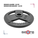 Par de Discos de Acero IronFit 15kg 2"