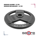 Par de Discos de Acero IronFit 20kg 2"