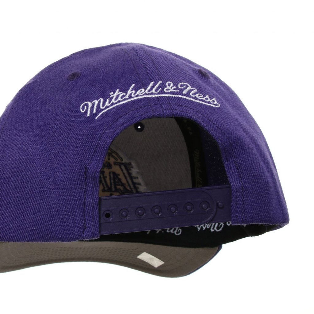 Gorra Mitchell & Ness Lakers Team Ground 2.0