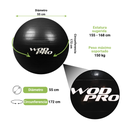 Pelota de Yoga Wod Pro con Bomba para Inflar 55 cm (2).png