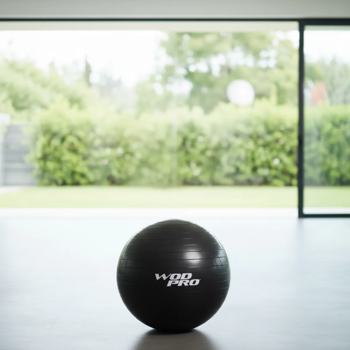 Pelota para Yoga Wod Pro (4).webp