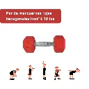 Mancuernas Rojas IronFit 10 lbs.webp