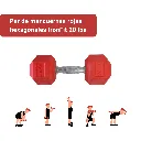 Mancuernas Rojas IronFit 20 lbs (2).webp