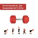 Mancuernas Rojas IronFit 25 lbs (2).webp