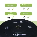 Par Discos Bumper Rígidos IronFit 45 lb (4).webp