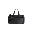Maleta Arena All Set Duffle 40L (2).webp