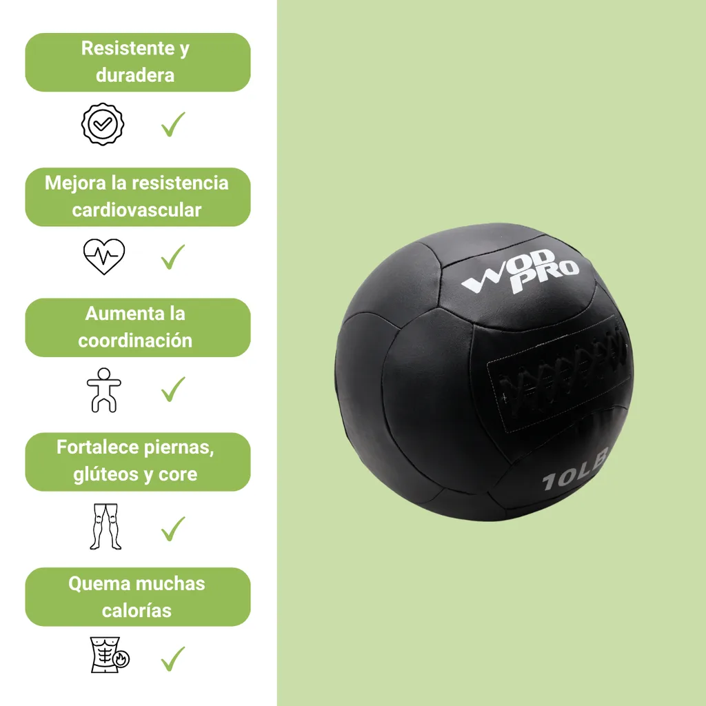 Wall Ball Wod Pro Elipse 10lb (4) 1.png