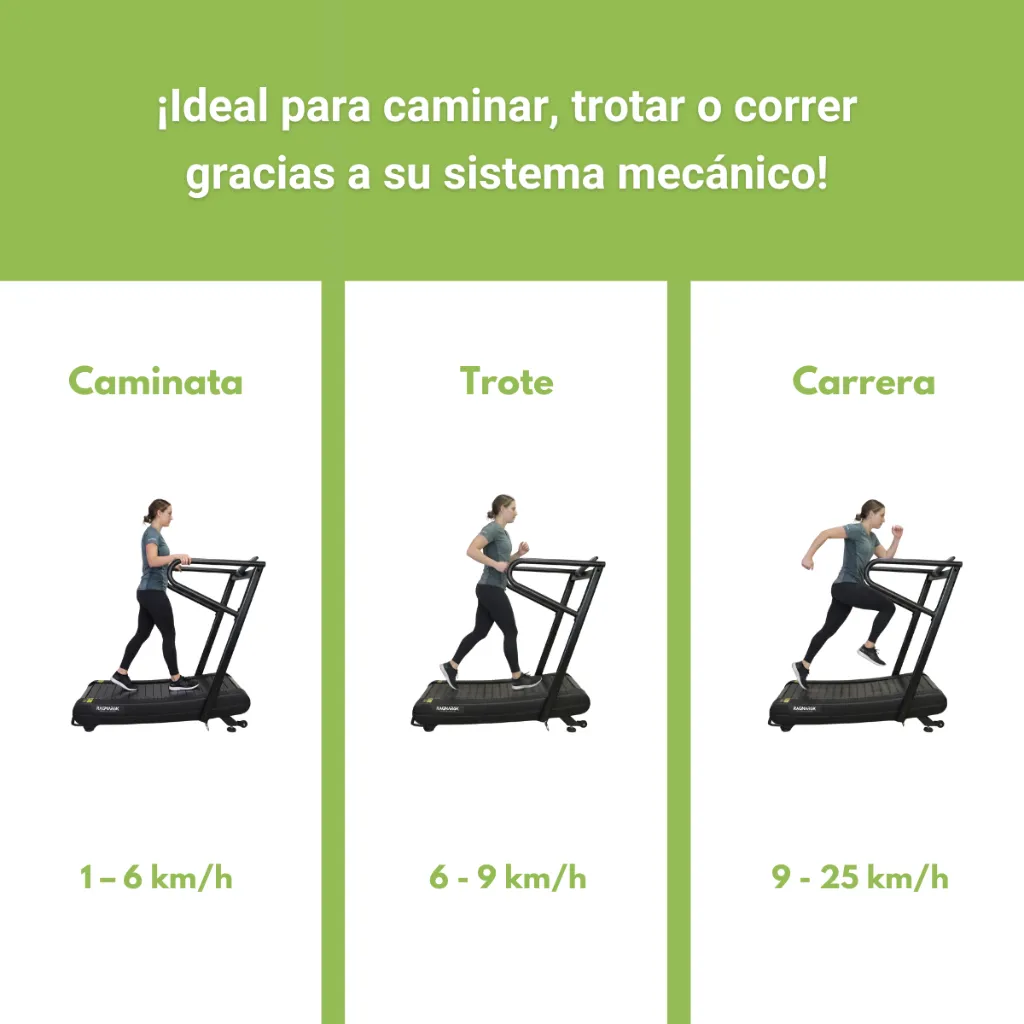 Corredora Mecánica RR9600 RagnaRök (9).webp