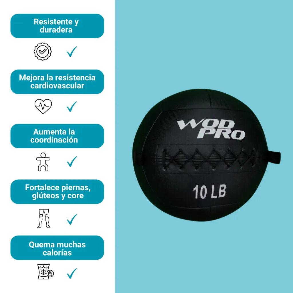 Wall Ball Wod Pro 10lb (2).webp