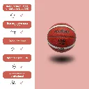 Molten B6G4000-AB (4).webp