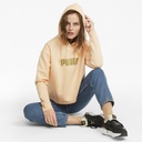 Sudadera con capucha Puma ESS+ Cropped Metalic Logo