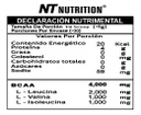 NT Nutrition BCAA 4000 Zero Carbs
