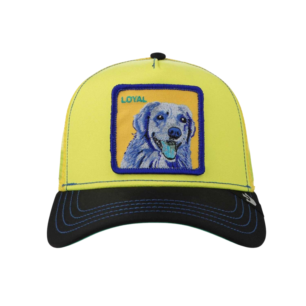 [A000019529] Gorra Goorin Bros Trip (Amarillo/Negro/Verde (Doggy Trip))