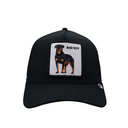 Gorra Goorin Bros The Baddest Boy