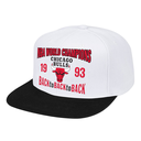 Gorra Mitchell & Ness NBA Chicago Bulls Back to Back '93