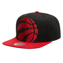 Gorra Mitchell & Ness Toronto Raptors 8 Bit XL