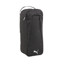 Zapatera Puma TeamGOAL