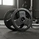 Par de Discos de Acero IronFit 10kg 2"