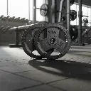 Par de Discos de Acero IronFit 15kg 2"