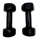 ​Par de Mancuerna 6 libras vinil FTS