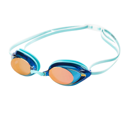 Goggles Speedo Vanquisher 2.0