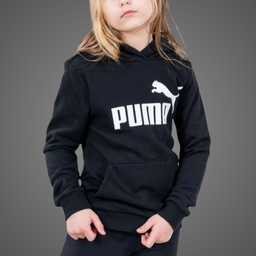 [A000021872] Sudadera Hoodie Puma Essentials Junior