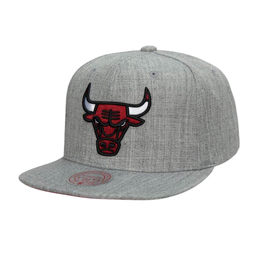 [A000022076] Gorra Mitchell & Ness NBA Chicago Bulls Team Heather 2.0