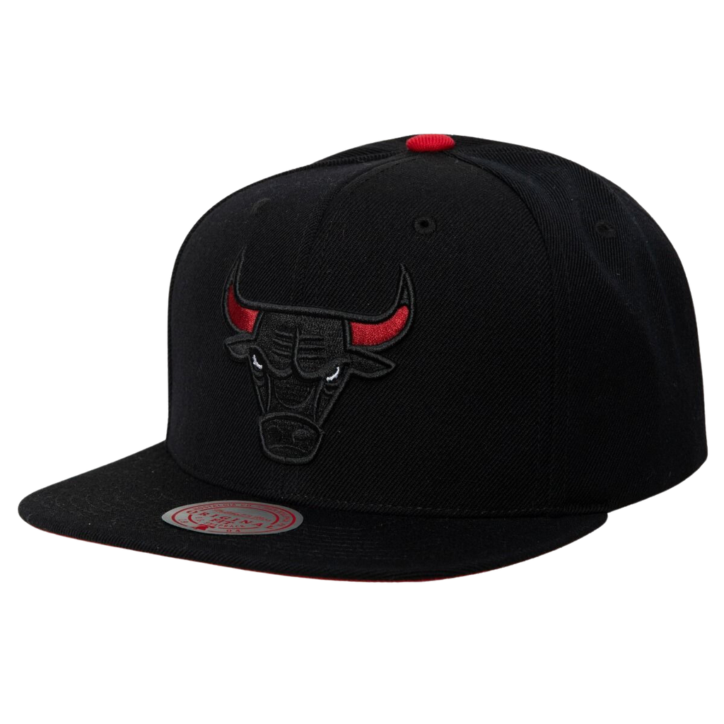 Gorra Mitchell & Ness NBA Chicago Bulls Born and Bred
