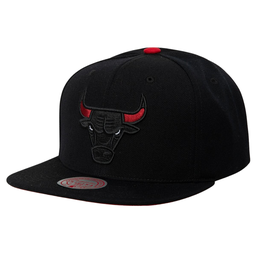 [A000023078] Gorra Mitchell & Ness NBA Chicago Bulls Born and Bred