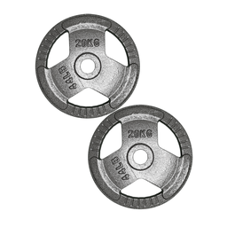 [A000023478] Par de discos de acero 20 kg Wod Pro
