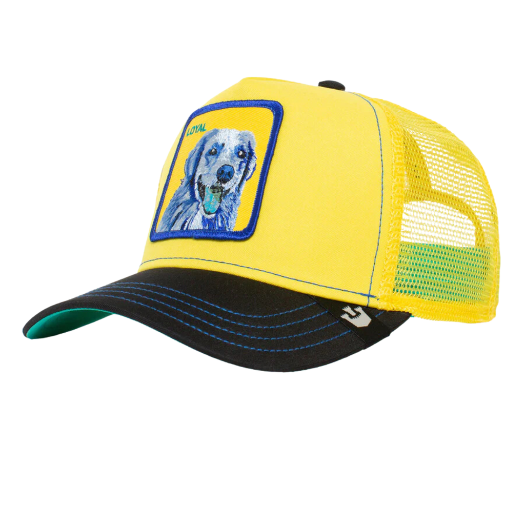 Gorra Goorin Bros Doggy Trip