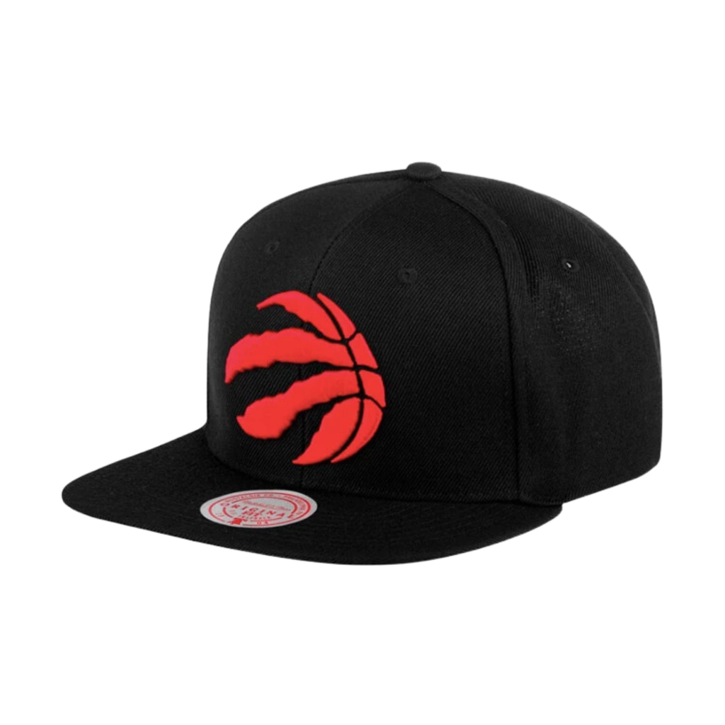 Gorra Mitchell & Ness NBA Team Ground 2.0 Toronto Raptors visera plana