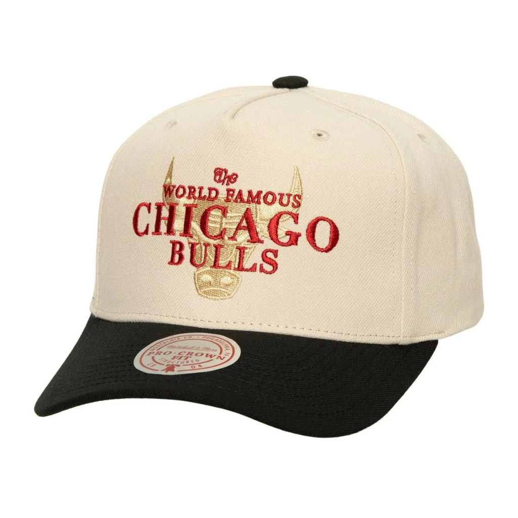 Gorra Mitchell & Ness NBA Chicago Bulls World Famous Pro