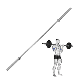 [A000027143] Barra Olímpica IronFit 2.2m 30mm Plateada