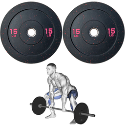 [A000027727] Par de Discos Bumper Hi Temp IronFit de 15 Lbs