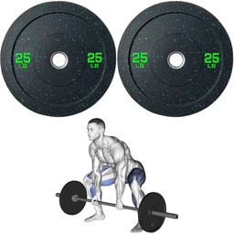 [A000027728] Par de Discos Bumper High Temp IronFit de 25 Lbs