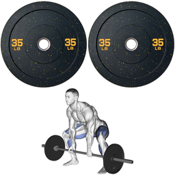 [A000027729] Par de Discos Bumper High Temp IronFit de 35 Lbs