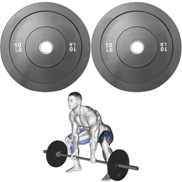[A000027731] Par de Discos Bumper Rígidos IronFit de 10 Lbs