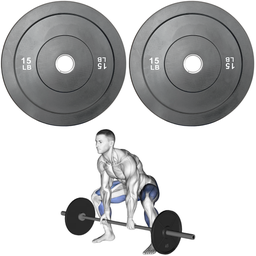 [A000027732] Par de Discos Bumper Rígidos IronFit de 15 Lbs