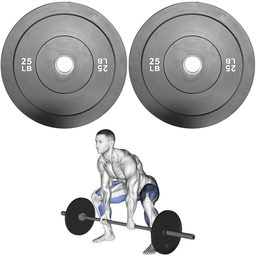 [A000027733] Par de Discos Bumper Rígidos IronFit de 25 Lbs