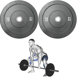 [A000027734] Par de Discos Bumper Rígidos IronFit de 35 Lbs