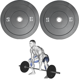 [A000027735] Par de Discos Bumper Rígidos IronFit de 45 Lbs