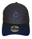 Gorra Cubs 39Thirty Visor Blur New Era